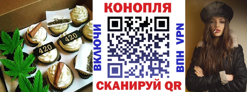 hydra как зайти  Гвардейск  Canna-Cookies конопля  как найти наркотики 