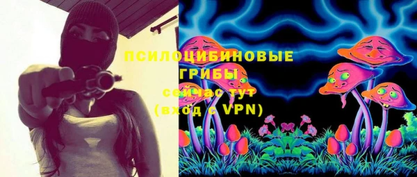 apvp Вязники